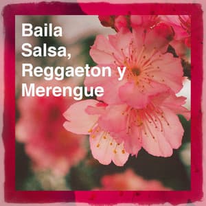 Baila Salsa, Reggaeton y Merengue - Reggaeton Latino