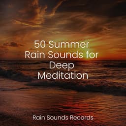 50 Summer Rain Sounds for Deep Meditation - Cascada de Lluvia