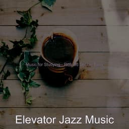 Music for Studying - Refined Double Bass - Elevator Jazz Music