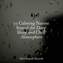 50 Calming Nature Sounds for Deep Sleep and Chill Atmosphere - Avslappning Sound