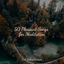 50 Pleasant Songs for Meditation - Drowsy Cloud