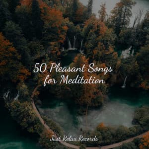 50 Pleasant Songs for Meditation - Healing Yoga Meditation Music Consort