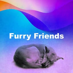 Furry Friends - Doggy Music