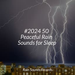 #2024 50 Peaceful Rain Sounds for Sleep - Rain Sound Studio