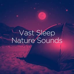 Vast Sleep Nature Sounds - Rain Sounds Nature Collection