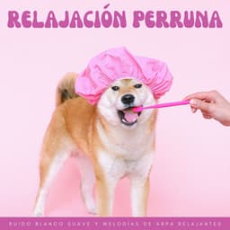 Relajación Perruna: Ruido Blanco Suave Y Melodías De Arpa Relajantes - Terapéutica de Ruido Blanco