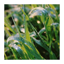 Get Positive Attitude - Chill Out Time Consort