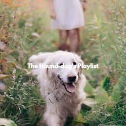The Hound-dog's Playlist - Musica Relajante para Perros Momentos