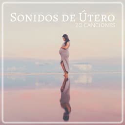 Sonidos de Útero 20 Canciones: Música con Efectos Sonoros que Ayudan a Relajar a los Bebés - Musica para Bebes Especialistas