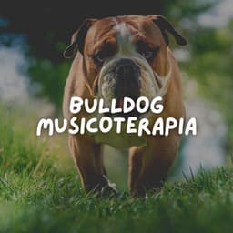 Bulldog Musicoterapia - Biblioteca de Música Para Mascotas