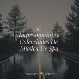 50 Impresionantes Colecciones De Música De Spa - Musica Relajante Specialistas & Musica Relajante