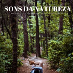 Sons Da Natureza: A Melhor Seleção De Sons Da Natureza Para Relaxamento Instantâneo - Música de Relaxamento No Spa
