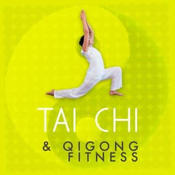 Tai Chi & Qigong Fitness - Tai Chi And Qigong