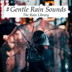 #Gentle Rain Sounds - The Rain Library