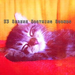 53 Serene Soothing Sounds - Best Relaxing Music