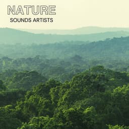 Tranquil Forest Path - Nature Sounds Artists