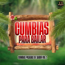 Cumbias Pasadas De Sabor Vol. 2 - Cumbias Para Bailar