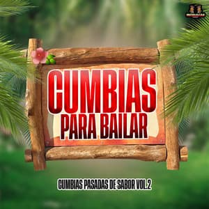 Cumbias Pasadas De Sabor Vol. 2 - Cumbias Para Bailar