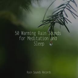50 Warming Rain Sounds for Meditation and Sleep - Relaxation