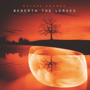Beneath the Leaves - Nature Sounds