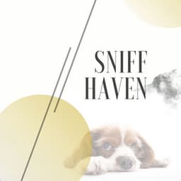 Sniff Haven - Dog Sleep Dreams
