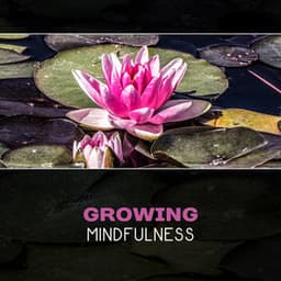 Growing Mindfulness - Along the Sacred Path - Meditation Therapy Society