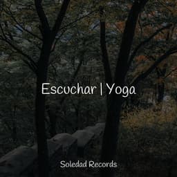Escuchar | Yoga - Mantra para Dormir