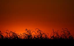 Tchaikovsky: Oxana's Caprices - Tcherevichki: Opera - Moscow RTV Symphony Orchestra