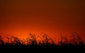 Tchaikovsky: Oxana's Caprices - Tcherevichki: Opera - Moscow RTV Symphony Orchestra