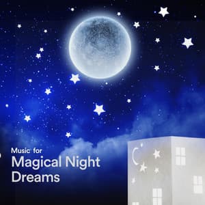 Music for Magical Night Dreams - The Sleep Principle