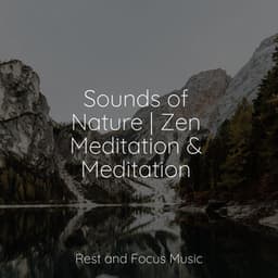 Sounds of Nature | Zen Meditation & Meditation - Deep Focus