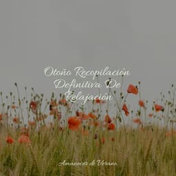 Otoño Recopilación Definitiva De Relajación - Chakra Balancing Sound Therapy