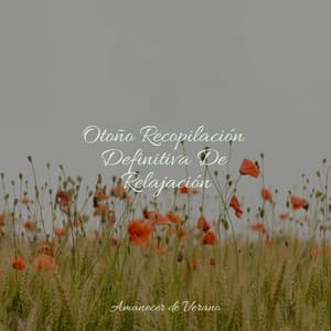 Otoño Recopilación Definitiva De Relajación - Chakra Balancing Sound Therapy