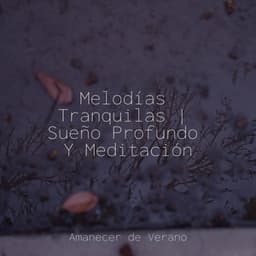 Melodías Tranquilas | Sueño Profundo Y Meditación - Musica Relajante & Yoga