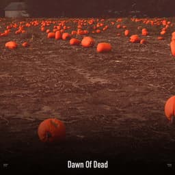 !!!!" Dawn Of Dead "!!!! - Halloween Music