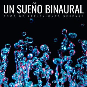 Un Sueño Binaural: Ecos De Reflexiones Serenas - Sueño de ritmos binaurales puros