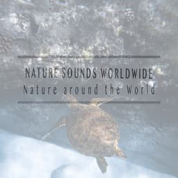 Nature Around the World - Nature Sounds Worldwide