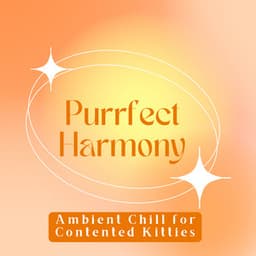 Purrfect Harmony: Ambient Chill for Contented Kitties - Playlist for Early Morning Chill Out