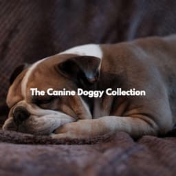 The Canine Doggy Collection - Musica para Perros