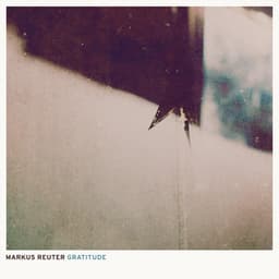 Gratitude - Markus Reuter