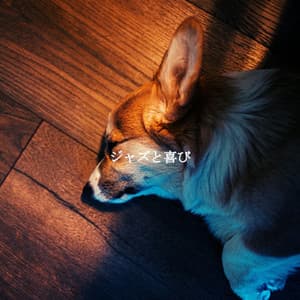 ジャズと喜び - Soft Jazz Relaxation