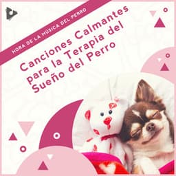Canciones Calmantes para la Terapia del Sueño del Perro - Hora de la Música del Perro