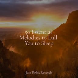 50 Essential Melodies to Lull You to Sleep - Musica Reiki