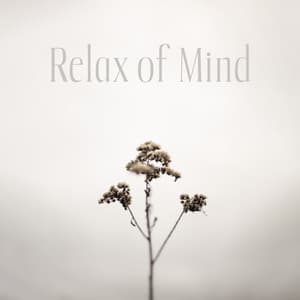 Relax of Mind: Soothing and Non-Distracting Peaceful Sounds - Relaxation Music Guru