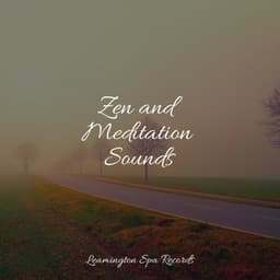Zen and Meditation Sounds - Winds and Oceans