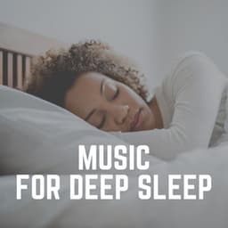 Music for Deep Sleep - The Sleep Principle