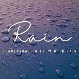 Mindful Rainfall: Study Sessions with Nature's Rhythms - Recording Nature