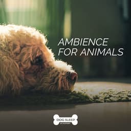 Ambience for Animals - Dog Sleep Academy