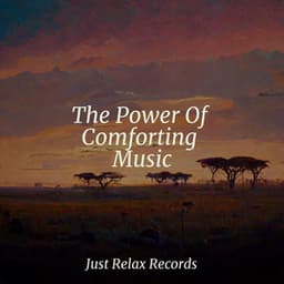 The Power Of Comforting Music - New Age