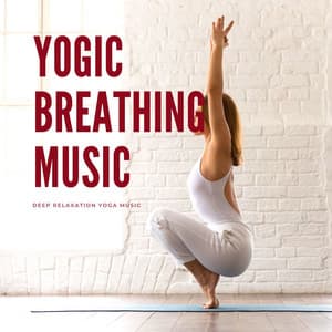 Yogic Breathing Music: Deep Relaxation Yoga Music - Healing Markrain